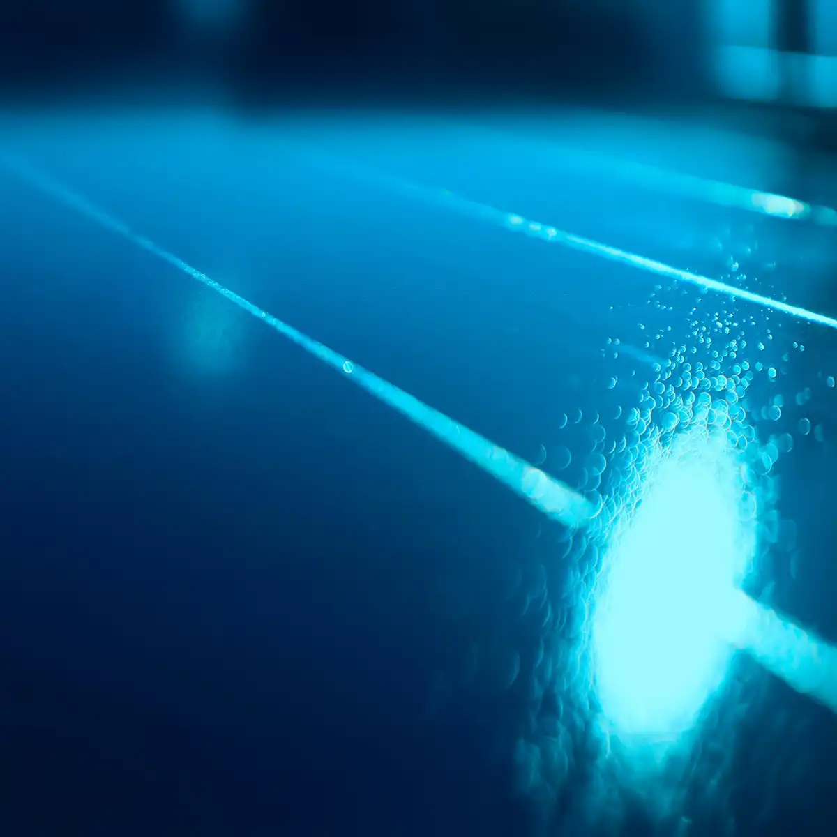 Giornata Internazionale della Luce: significato, storia e curiosità sul fenomeno che illumina il mondo